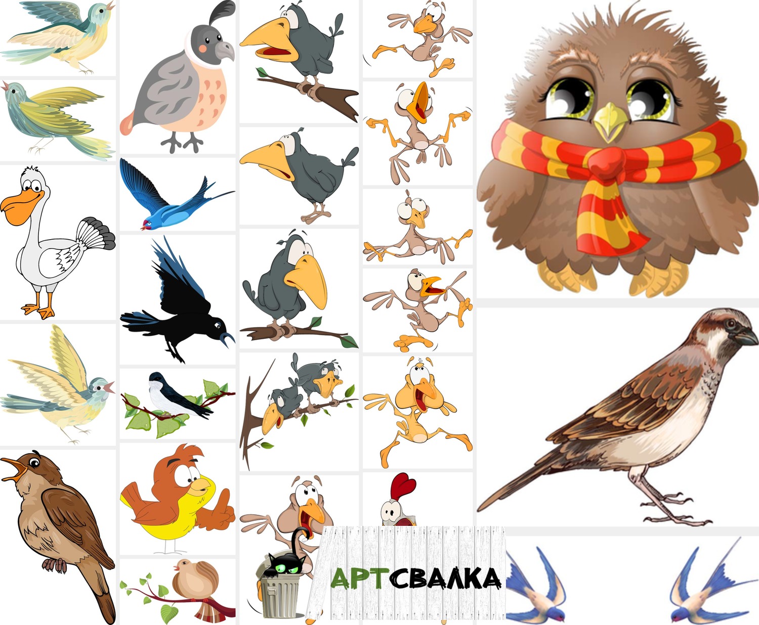 Нарисованные векторные птички | Drawn vector birds